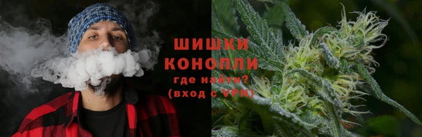 spice Новозыбков