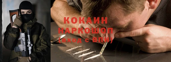 spice Новозыбков