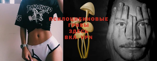 mdma Новодвинск