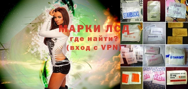 spice Новозыбков