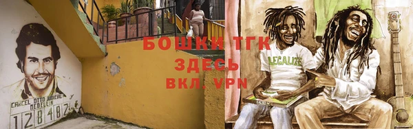 spice Новозыбков