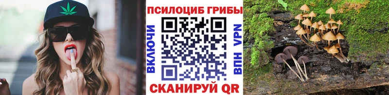 Псилоцибиновые грибы ЛСД купить наркоту Лермонтов